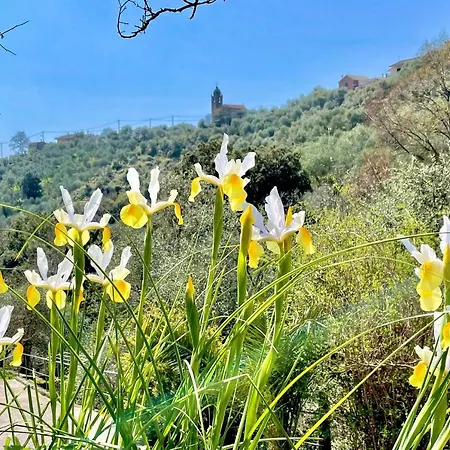 Holiday home Colline D'argento